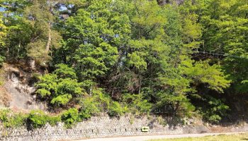 国道４１１号道路工事(明許)(余フ)現場ホームページ開設